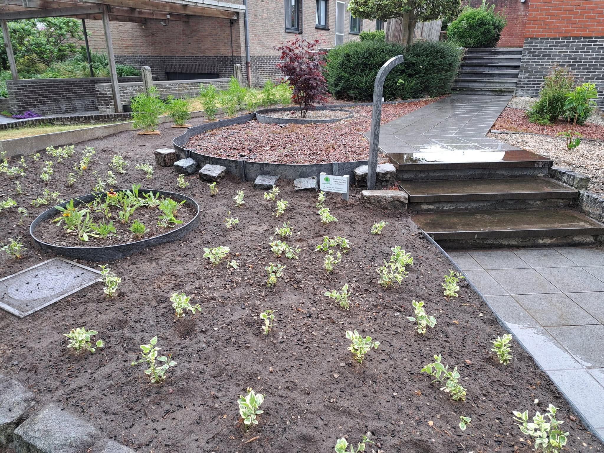 Voortuin opnieuw aangeplant