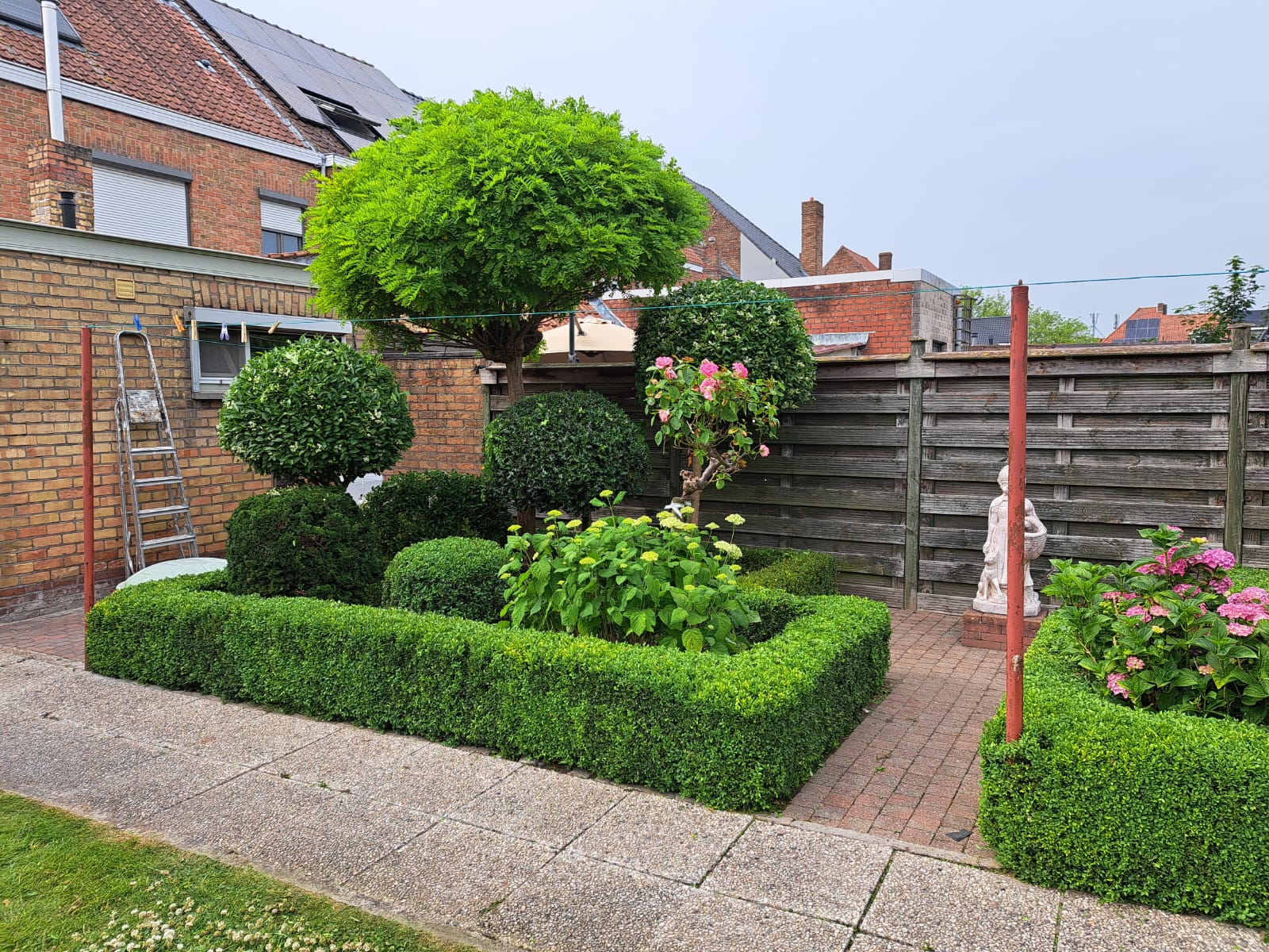 vormsnoei en tuinonderhoud